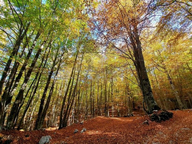 Creata la bio-mattonella plastic free