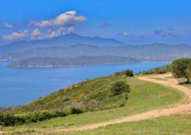 Parchi nazionali Arcipelago Toscano e Foreste Casentinesi nella green list IUCN