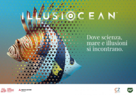 La mostra Illusiocean è un viaggio tra le meraviglie 'blu'