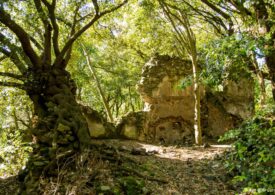 Ampliando il parco agricolo Arrone-Galeria a Roma