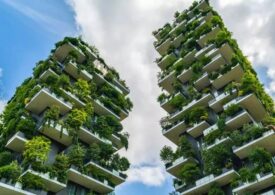 Green Building Council Italia protagonista del cambiamento