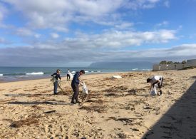 Volontariato e pulizia delle spiagge alle Saline di Trapani