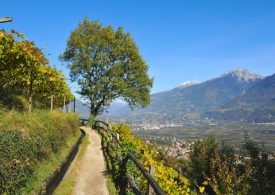 In Lombardia progetto per valorizzare sentieri e strade