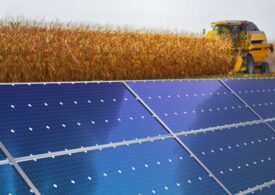 Agrivoltaico innovativo: definite finalmente le regole, domande dal 4 giugno