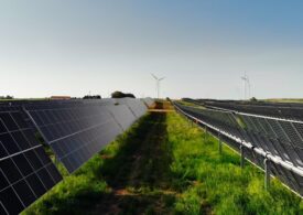 Engie, avviato il più grande parco agrovoltaico d'Italia